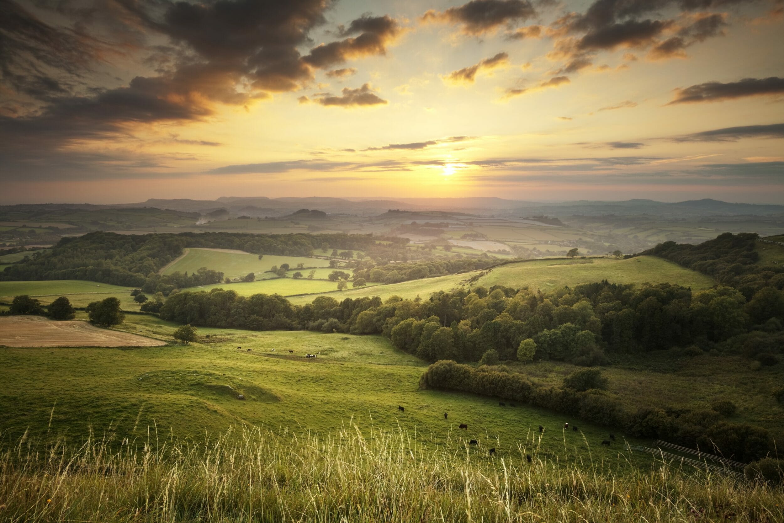 Unlock the Charm of Somerset: A Guide to the Best Places to Visit and Stay on Your Holiday